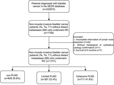 Contemporary use trends and effect on survival of pelvic lymph node dissection for non-muscle-invasive bladder cancer